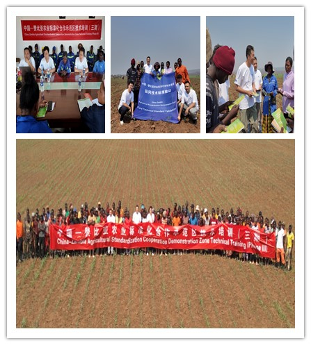 2025111322 2025111322