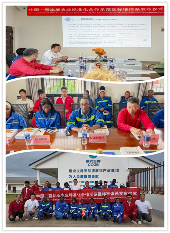 2025111325 2025111325