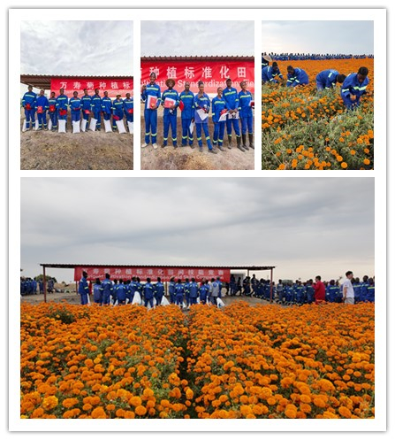 2025111326 2025111326