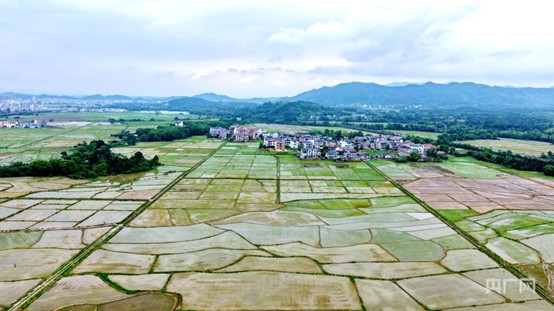 瞰江西！高标准农田展画卷