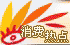国际观察组织称白俄罗斯大选不符合标准