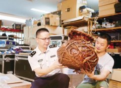 浙江非物质文化遗产类特殊产品赴台湾参展