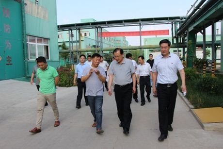 山东省政府调研组到肥城调研指导制造业标准化工作