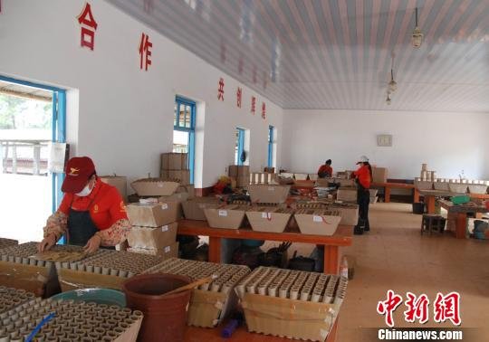 浏阳一家企业在生产烟花爆竹。 浏阳一家企业在生产烟花爆竹。
